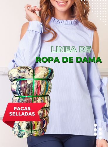 Home - mundopaca.com